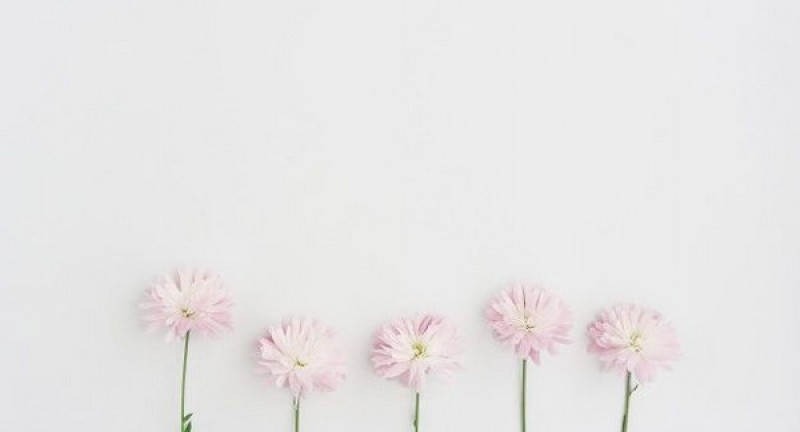 Điều khoản chung